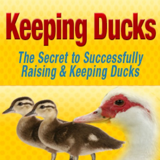 Keeping Ducks:The Secret Success of Keeping and Raising Ducks icon