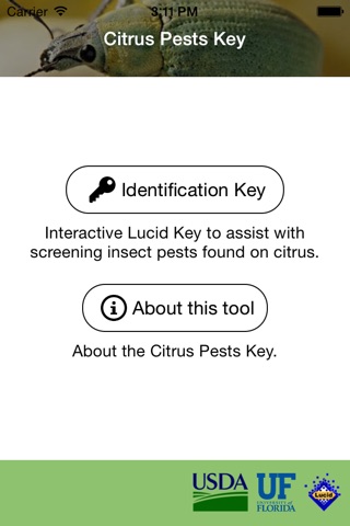 Citrus Pests Key screenshot 2