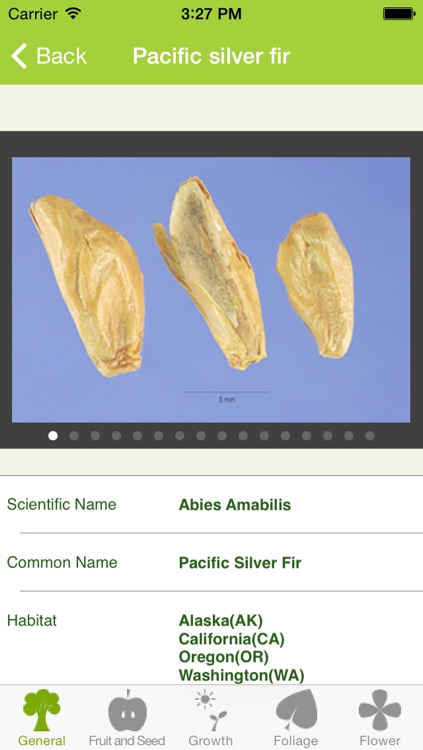 Plants Pedia: North America Trees & Flowers Scientific Reference