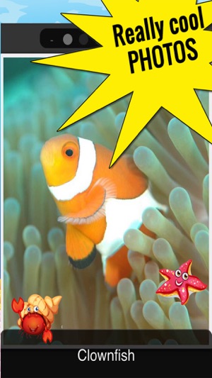 Funny Fish Games and Photos(圖2)-速報App