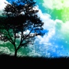 Nature Music Pro - Relaxing Sounds Of Nature to Calm, Reduce Stress & Anxiety