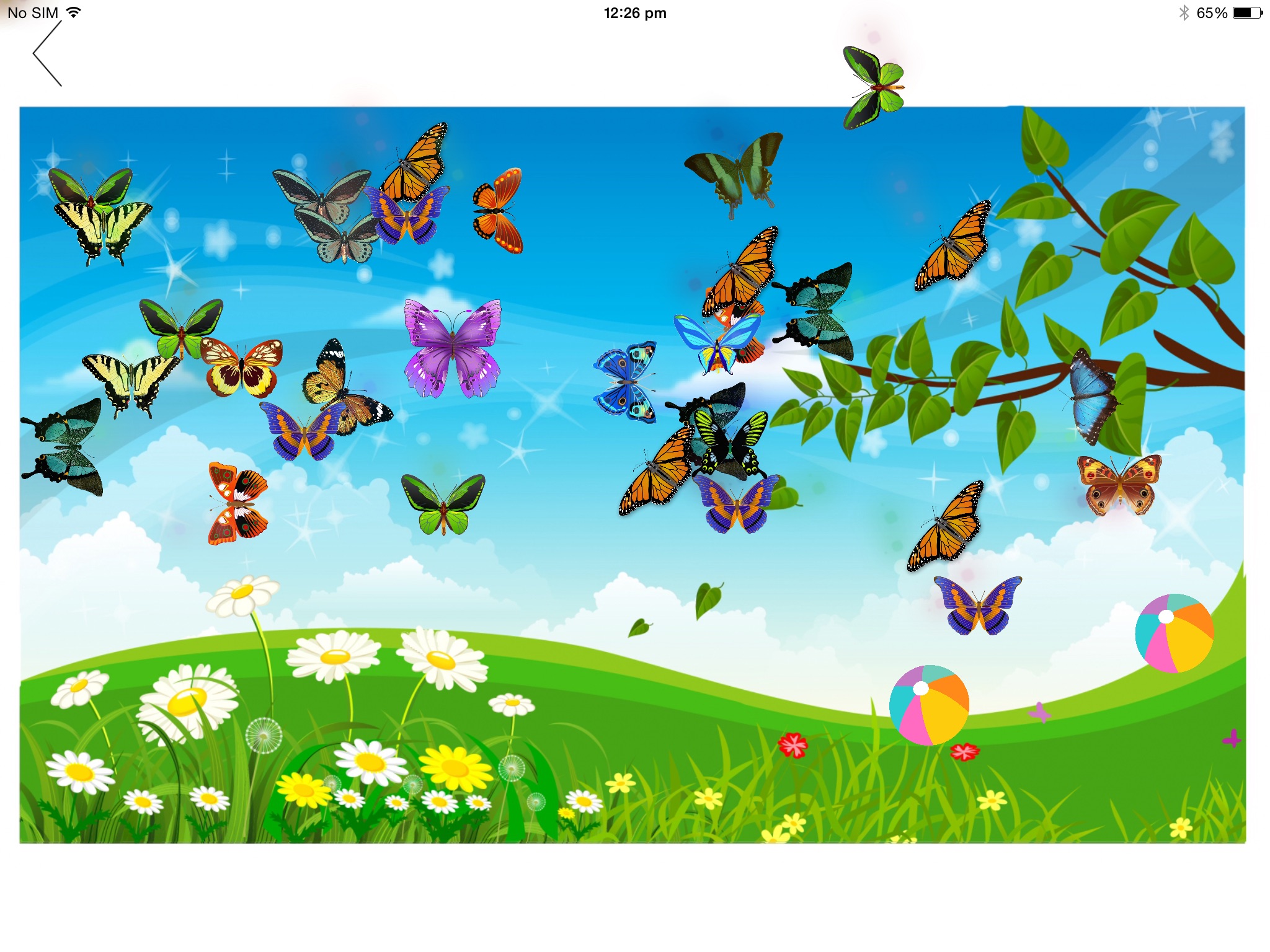 Sensory Touch and Learn - Butterflies, Fruit and Flowers screenshot 4