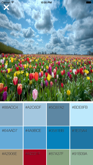 Palette - Colors From Any Image(圖5)-速報App