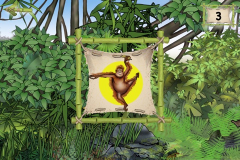 Perform Jungle screenshot 4