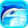 Jump Dolphin Beach Show - Ocean Tale Jumping Game