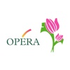Opera Qatar