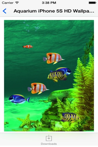 Aquarium HD Wallpaper for iPhone screenshot 4