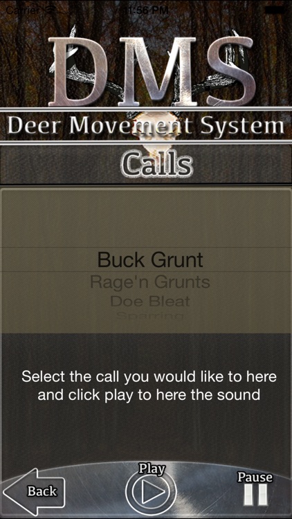 Deer Movement