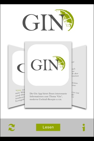 Gin screenshot 2