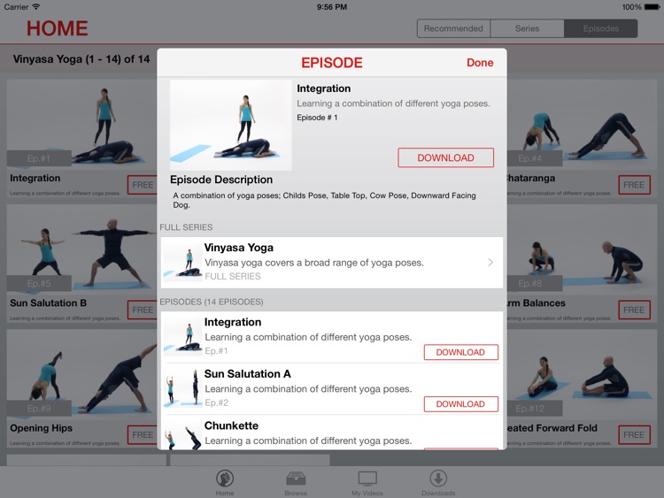 Vinyasa Yoga Lessons for iPad