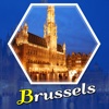 Brussels Offline Travel Guide