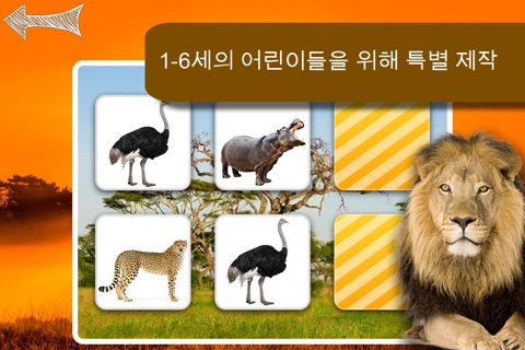 Free Memo Game Wild Animals Photo screenshot 2