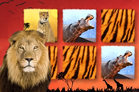 Wildlife Safari Photo Memo Puzzle Free screenshot 2