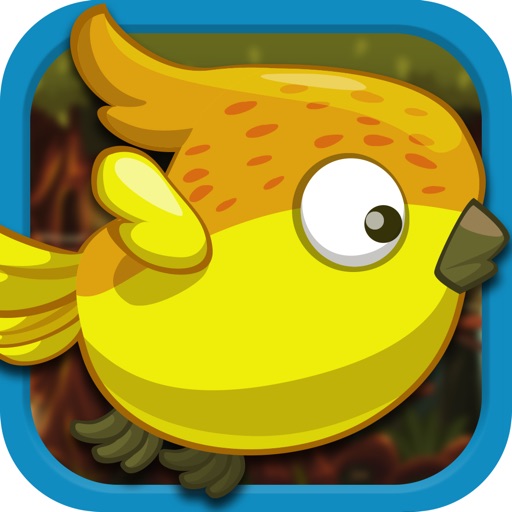 Paradise Birds - Endless Wings Flying Jungle Adventure Game - FREE iOS App
