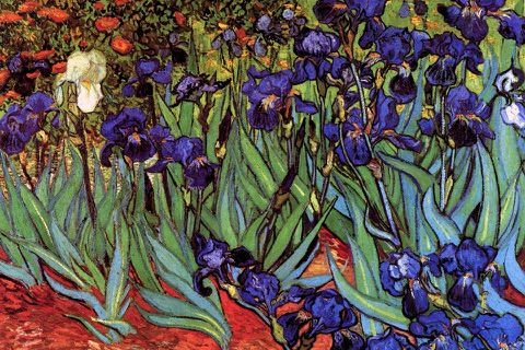 Art Wallpaper Van Gogh HD screenshot 3