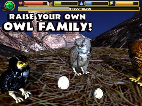 Скачать Owl Simulator