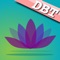 DBT Mindfulness Skills are meant to: