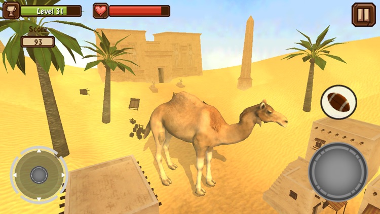 Camel Simulator