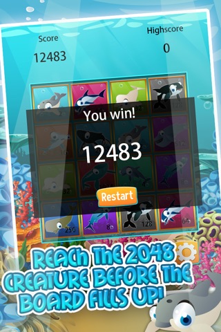 Ocean Pet 2048 Craze - Awesome Math Puzzle Saga screenshot 3