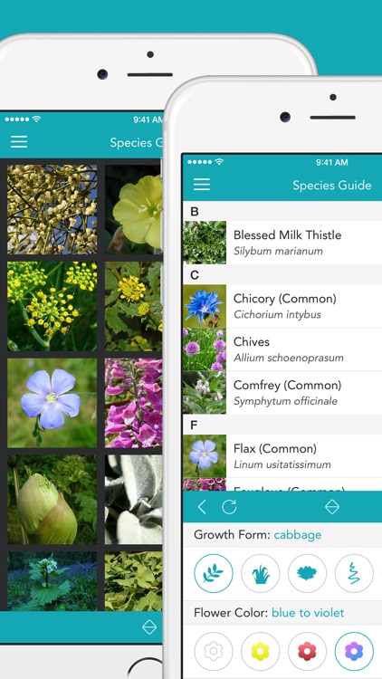 Medicinal Plants 2 PRO - The Reference Work