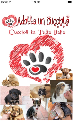 Adotta un Cucciolo(圖1)-速報App