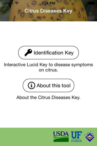 Citrus Diseases Key screenshot 2