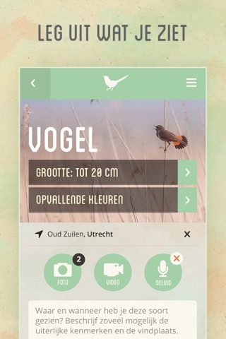 Vroege Vogels screenshot 2