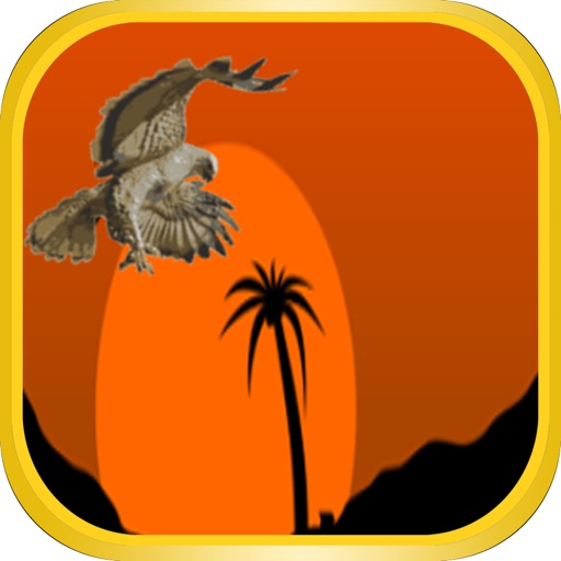Penny The Flying Hawk icon