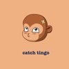 Catch Tingo