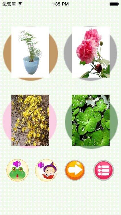 Learn plant-English words game