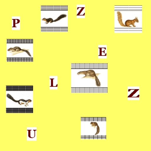 AnimalsSquirrelSquarePuzzle icon