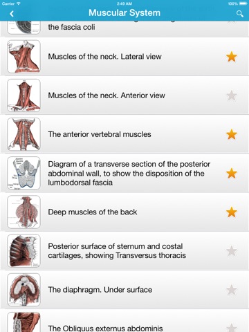 【图】Gray’s Anatomy 2014(截图3)