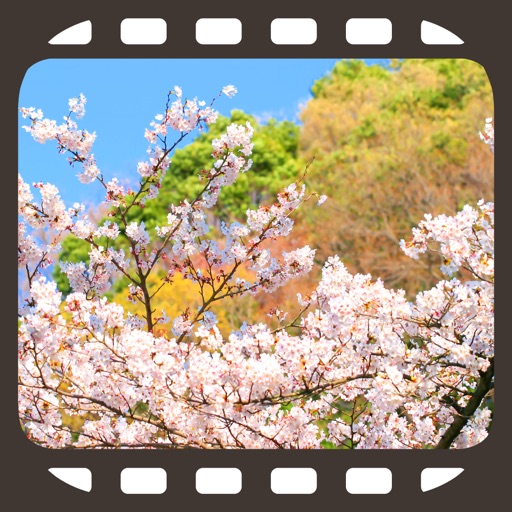 にっぽん桜絶景・どこでもお花見～動画でめぐる厳選さくら名所～