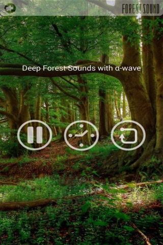 FOREST SOUND - Sound Therapy screenshot 3