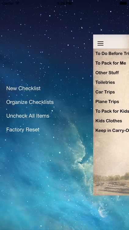Essential Travel Checklist
