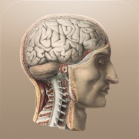 Klassische Anatomie apk