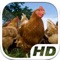 Chicken Simulator HD Animal Life