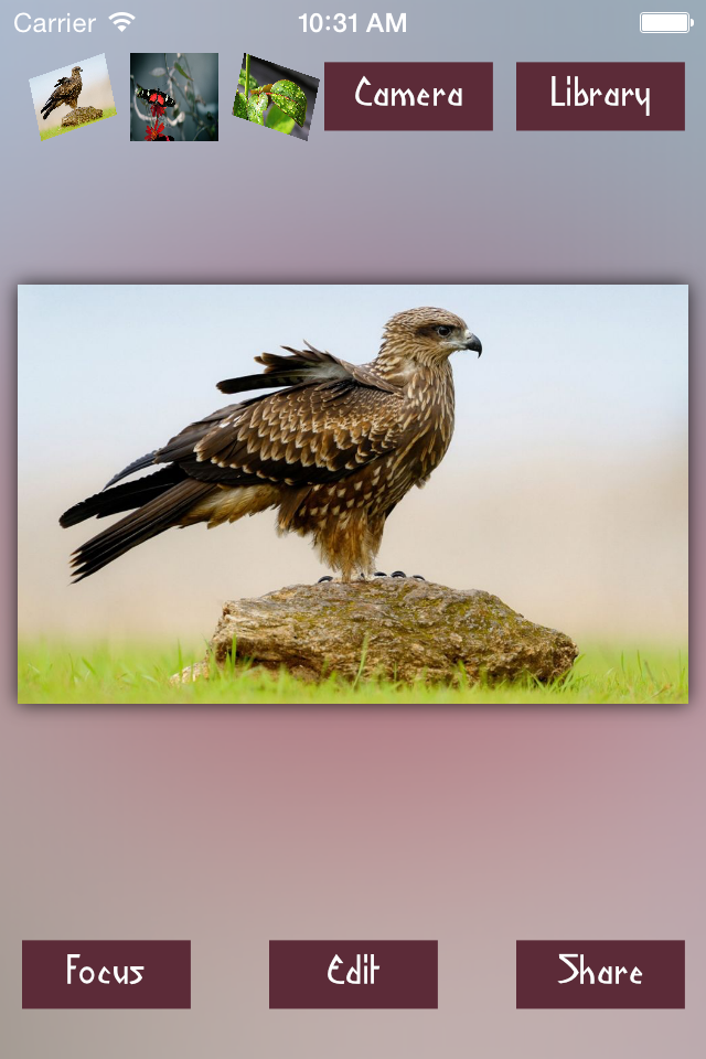 After Focus - Photo Studio