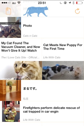 More Cats: cat videos, photos & news screenshot 2