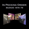 In Pecking Order: Budgie 1974-79
