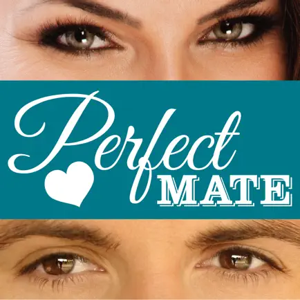 Perfect Mate Читы