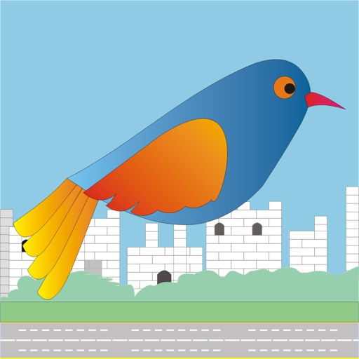 Flappy Rio Parrot iOS App