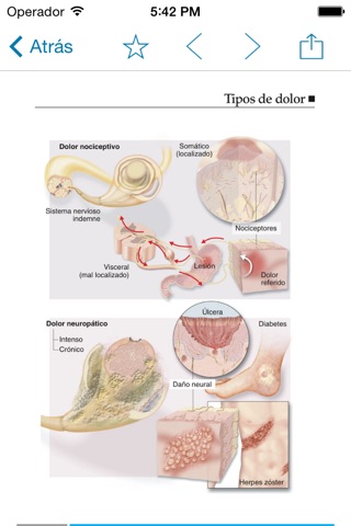 Miniatlas Neuropathic pain screenshot 2