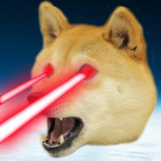 Activities of DogeCrush To the MOON