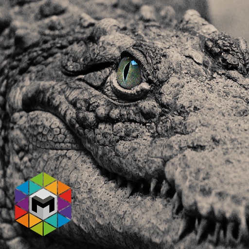 My Crocodile Simulator iOS App