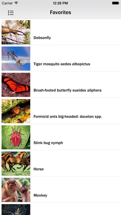 Animals and Insects