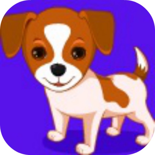 Cute little dog iOS App