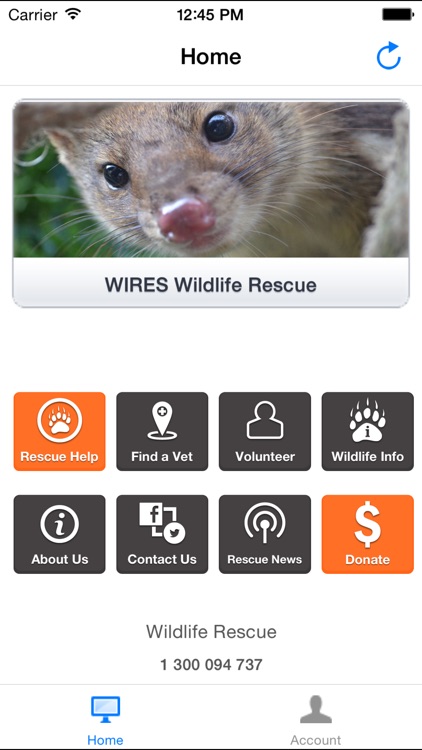 WIRES Wildlife Rescue App