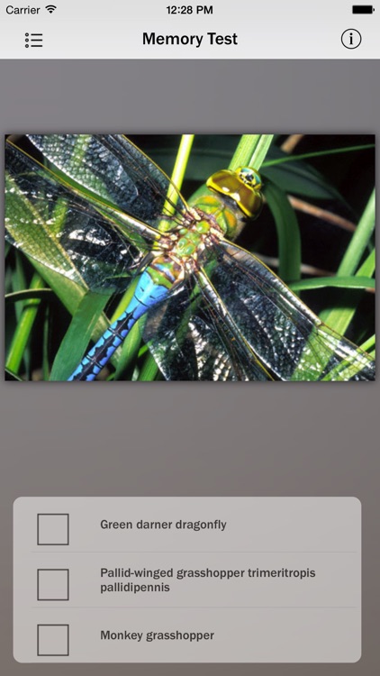 Animals and Insects screenshot-4