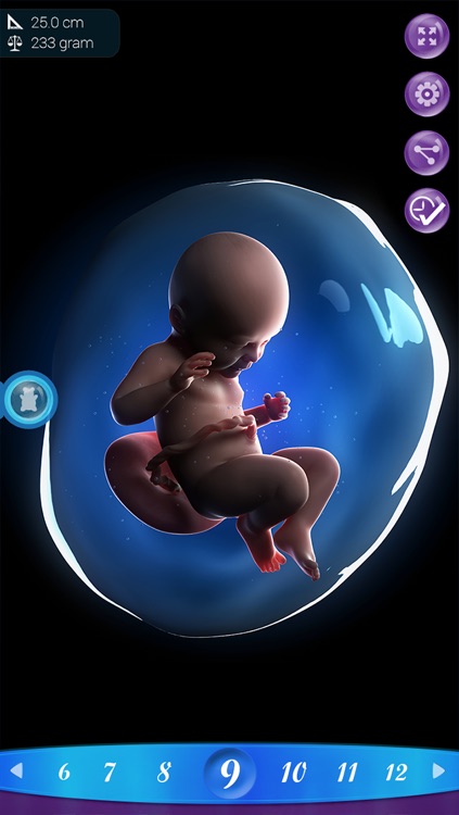 PregApp screenshot-4